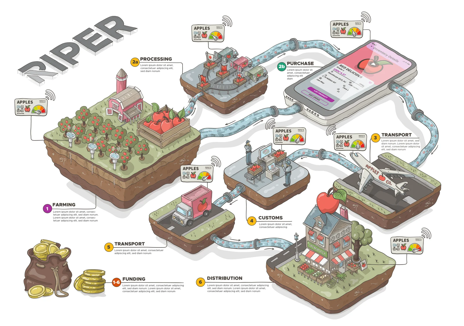 Illustrated map of the Riper supply chain: an apple orchard, processing, purchase on a phone, air freight, customs, trucking and a greengrocer, all linked by one tracked record